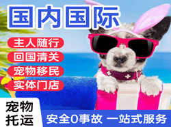 嫩江墨尔根机场快递国际宠物托运 【国